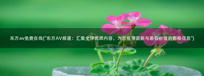 手机在线aV电影