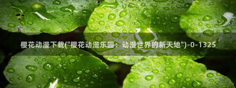 clannad动漫