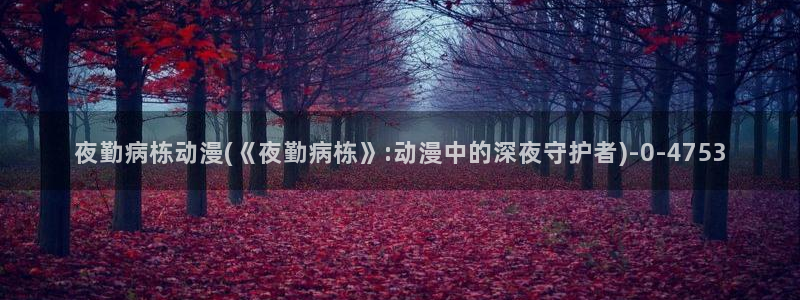 51动漫