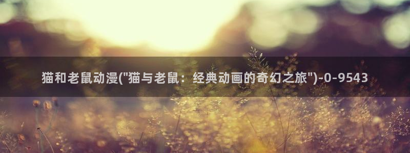 58动漫网站